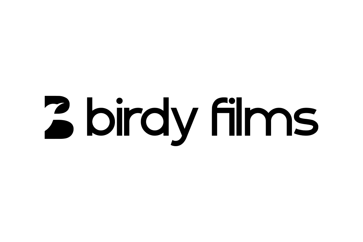 création logo entreprise birdy films